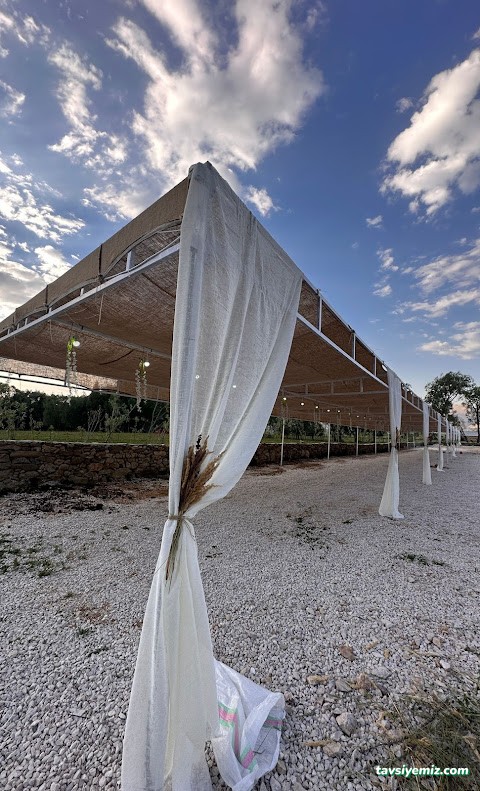 Havin Kır Düğün Evi