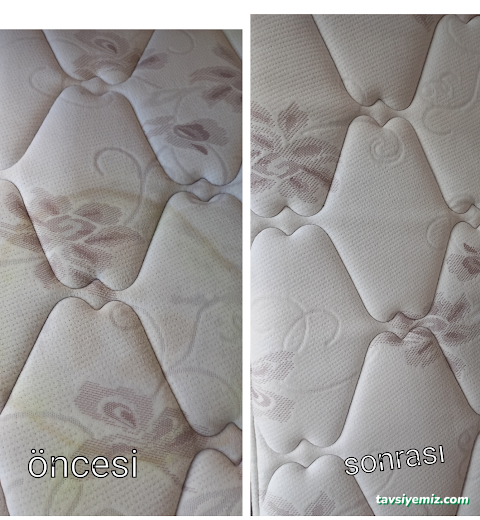 Adapazarı Kayı Koltuk Yıkama - Yerinde Koltuk, Yatak, Sandalye,Halı Yıkama)