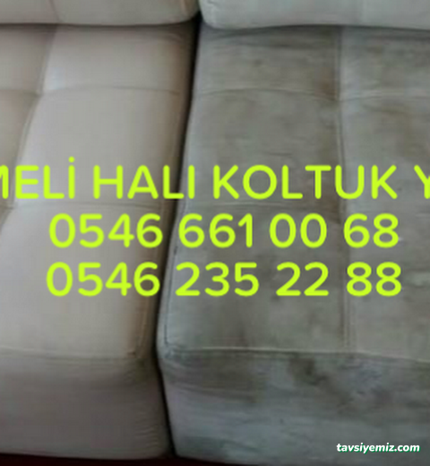 Aksaray Hanımeli Halı Yıkama