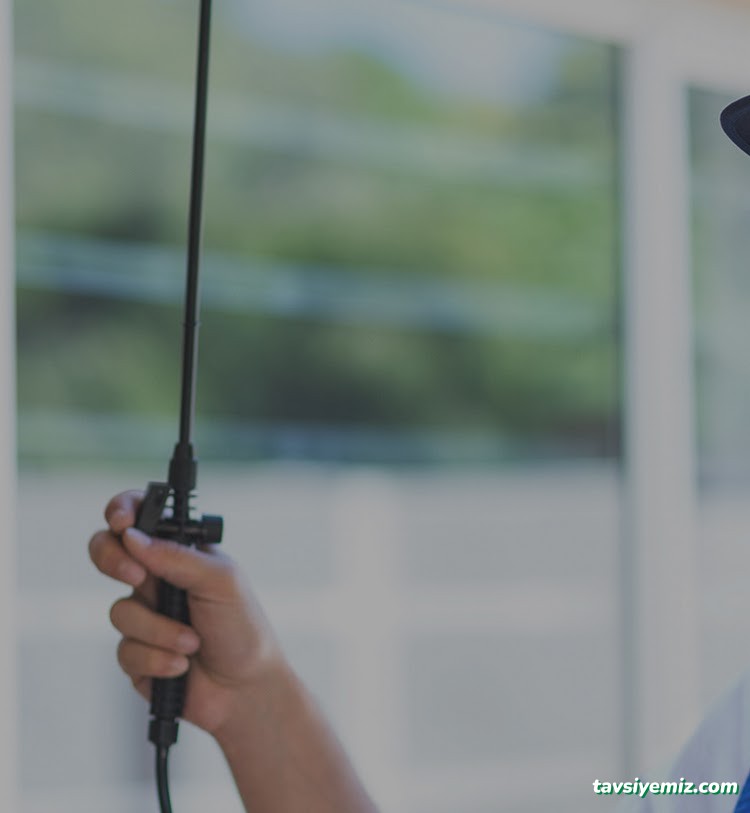 Pest Life Böcek İlaç Ve İlaçlama