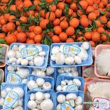 Özpaş Gıda Toptan Market İşletmesi