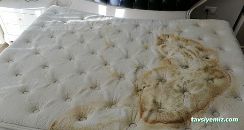 Bahar Koltuk Yıkama