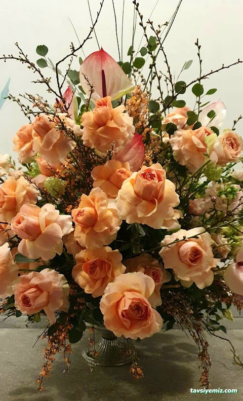 Ankara Çitlembik Çiçek Evi