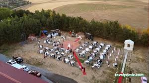 Düğün Bahçem Kır Düğün Salonu Ve Fotoğraf Çekim Platosu