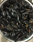 Burkay Kokoreç Ve Midye