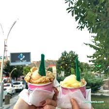 Aşkın Aslı Dondurma