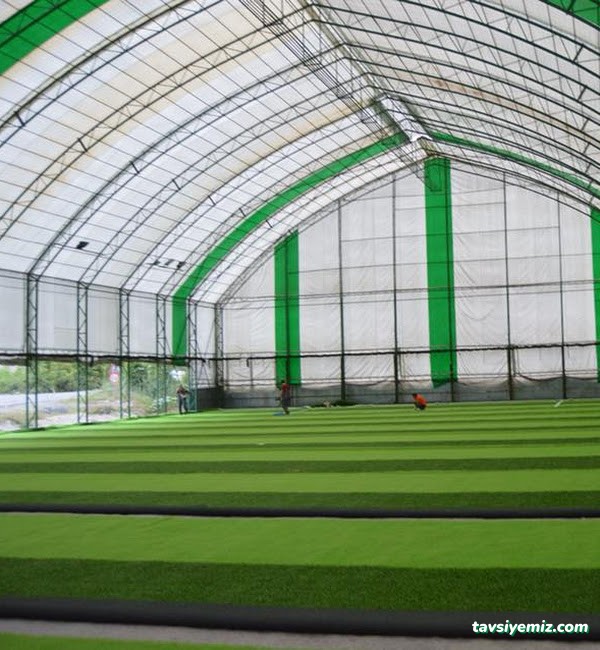 Çotanak Halısaha Giresun