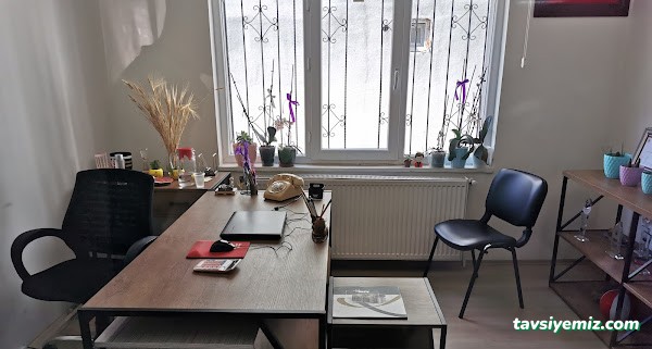 Ekinox Gayrimenkul Danışmanlık