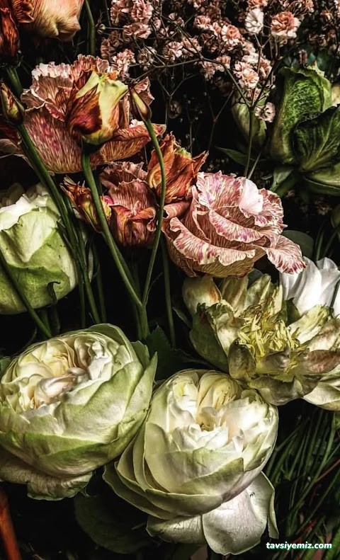 Ankara Çitlembik Çiçek Evi