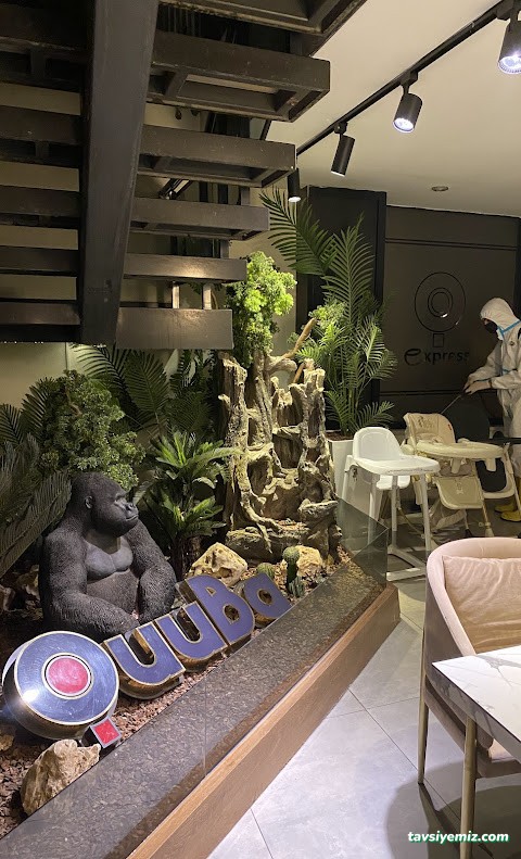 Vizyon Pest İlaçlama