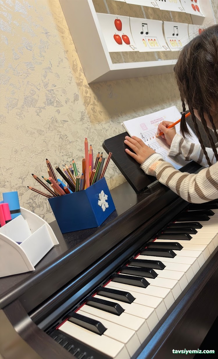 T.c. Meb Özel Trio Müzik Kursu