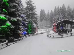 Artvin Kafkasor Belediye Sosyal Tesisleri