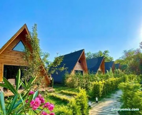 Sapanca Köy Bungalov