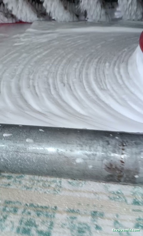 Yıldız Temizlik Halı Ve Koltuk Yıkama