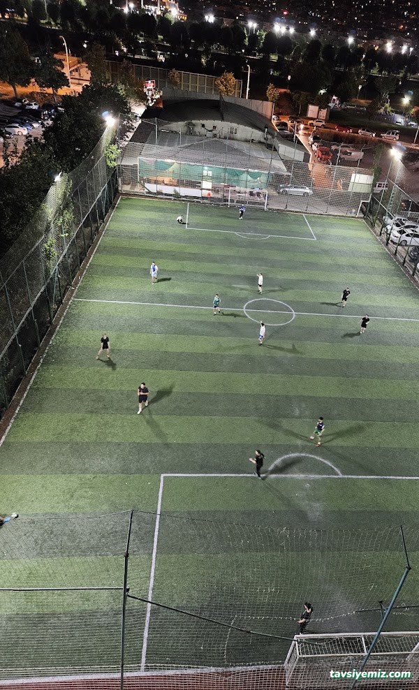 Nilüfer Çim Halı Saha