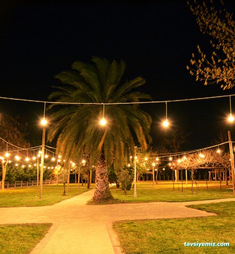 Seka Bahçe Kır Düğün Salonu