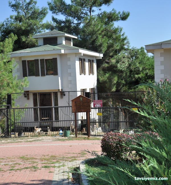 Osmangazi Belediyesi Sahipsiz Hayvanlar Doğal Yaşam Merkezi