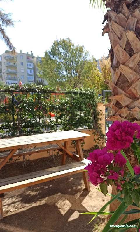 Özel Medi Yaşam Huzurevi Ve Yaşlı Bakım Merkezi