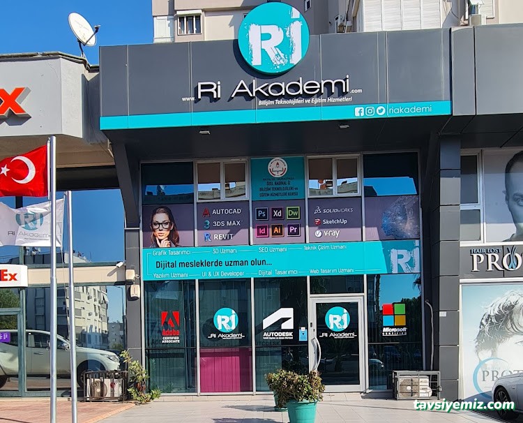 Ri Akademi