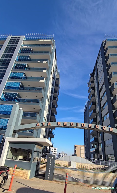 Pak-İş Halı Koltuk Yıkama