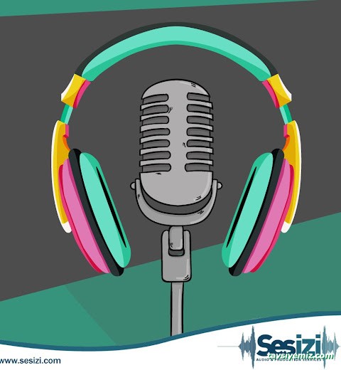 Sesizi Seslendirme Ajansı