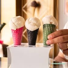 Burgüvendik Dondurma