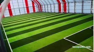 Gözde Halı Saha (Siirt)