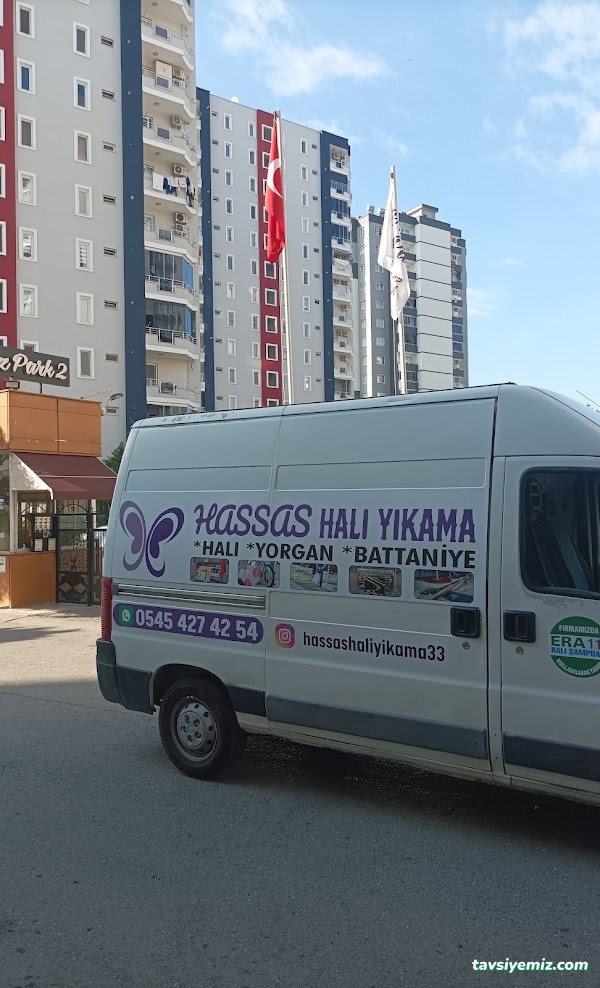 Hassas Halı Yıkama Mersin