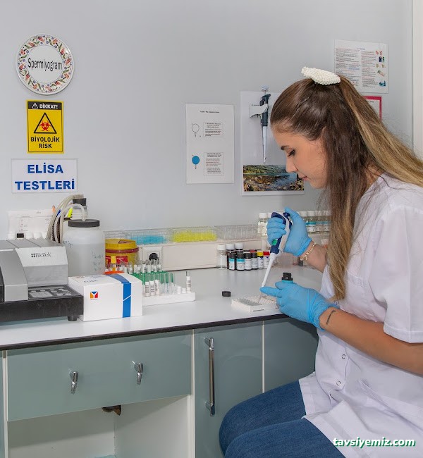 Erbil Tıp Laboratuvarı