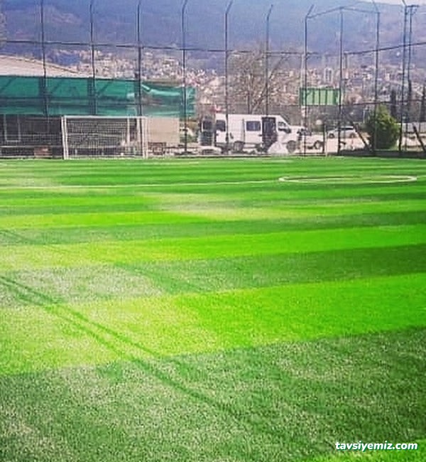 Nilüfer Çim Halı Saha