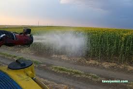 Tekirdağ İlaçlama