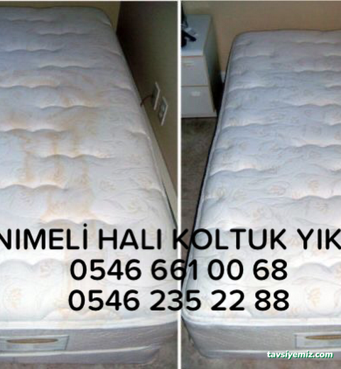 Aksaray Hanımeli Halı Yıkama