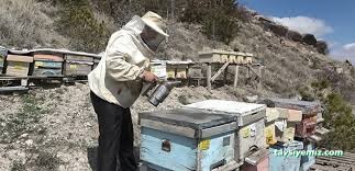 Erva İlaçlama - Tarım