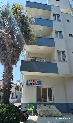 Cesur Aile Pansiyonu