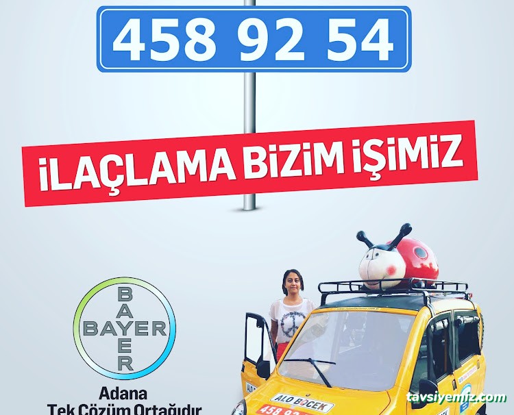 Fidas İlaçlama | Alo Böcek | Adana Haşere Ve Böcek İlaçlama Firması