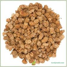 365Organik.com Organik Ürünler Alışveriş Sitesi