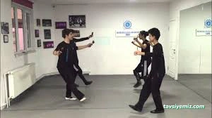 A Plus Dans&Sanat Akademi