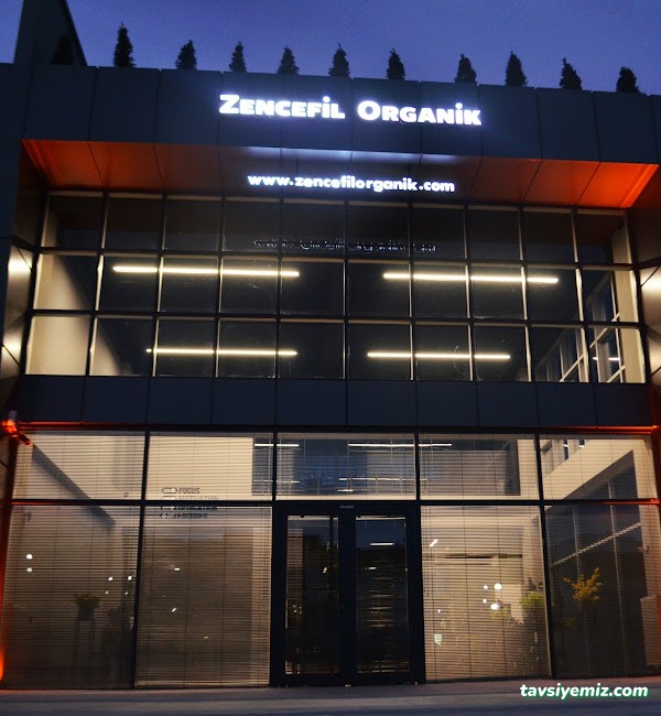 Zencefil Organik