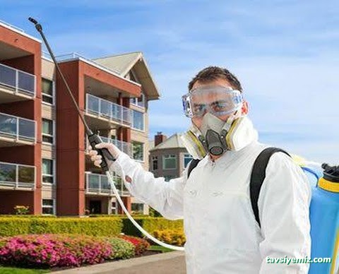 Uşak Doğa Ilaçlama Ve Dezenfeksiyon Hizmetleri