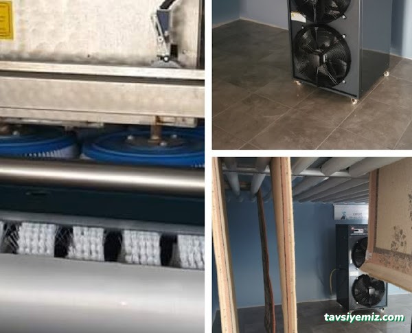 Expert Muğla Halı Yıkama