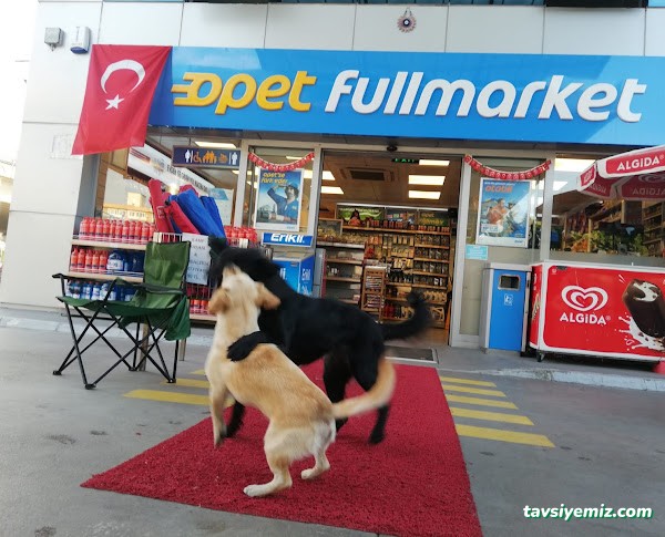 Opet Alternatif Petrol