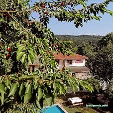 Abant Hayalim Butik Otel