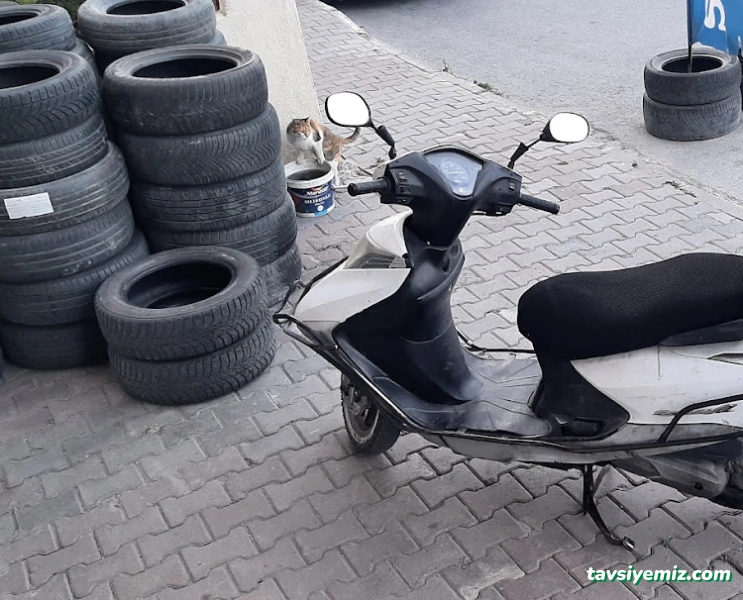 Abbas Oto Lastik ( Lastik & Jant Tamir Satış )