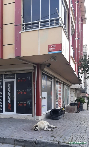 Abbas Oto Lastik ( Lastik & Jant Tamir Satış )