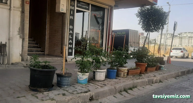 Abbas Oto Lastik ( Lastik & Jant Tamir Satış )