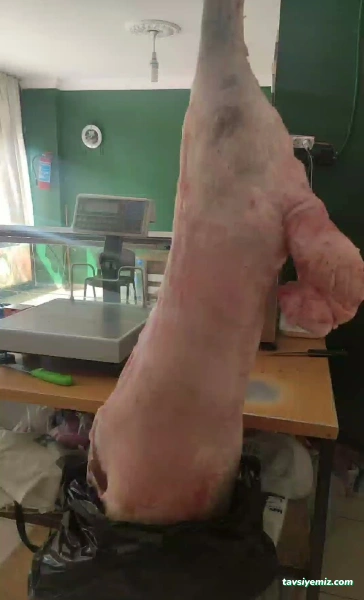 Çamlıtepe Et Dünyası