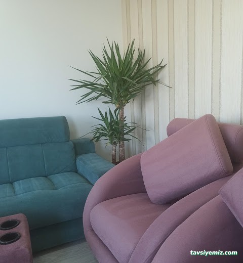 Elazığ Koltuk Yıkama