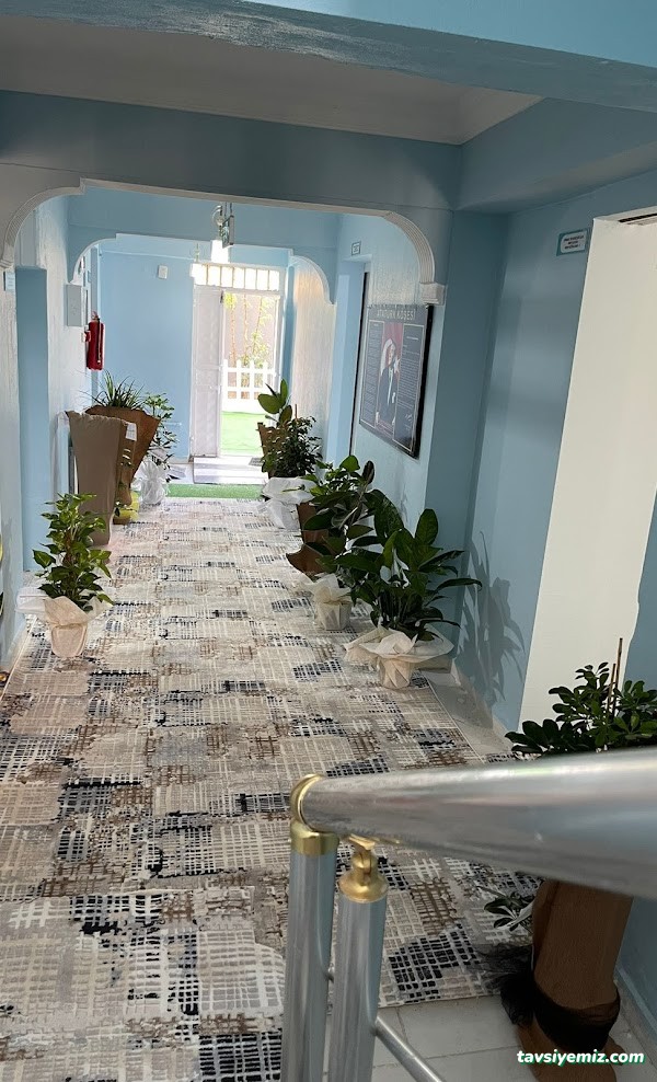 Mucizem Rehabilitasyon Dikkat Ve Algı Geliştirme Merkezi