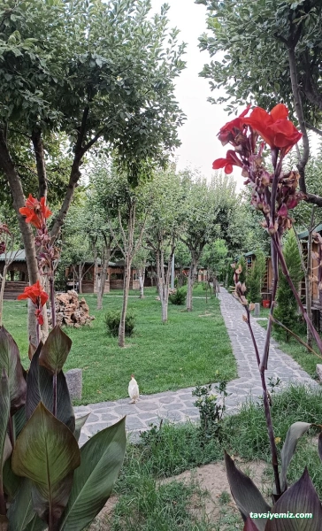 Acem Gölü Çay Bahçesi Restorant