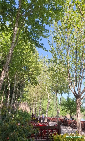 Acem Gölü Çay Bahçesi Restorant